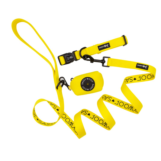Dog Collar Three Piece Bundle - Neon Yellow
