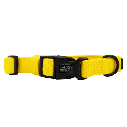 Dog Collar Three Piece Bundle - Neon Yellow