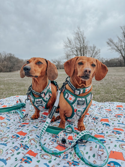 Dog Collar - Peanuts™ Beagle Scouts