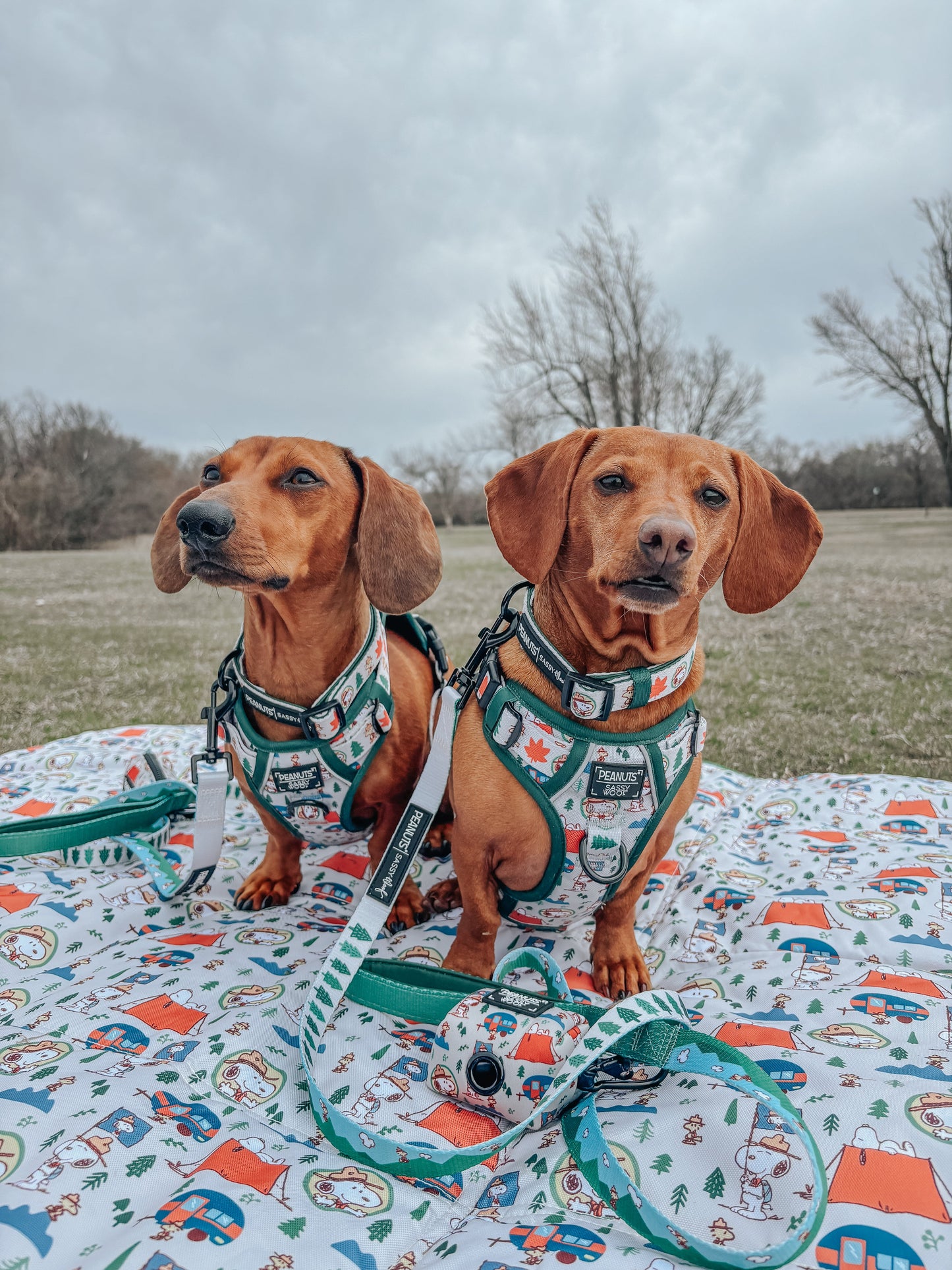 Dog Two Piece Bundle - Peanuts™ Beagle Scouts