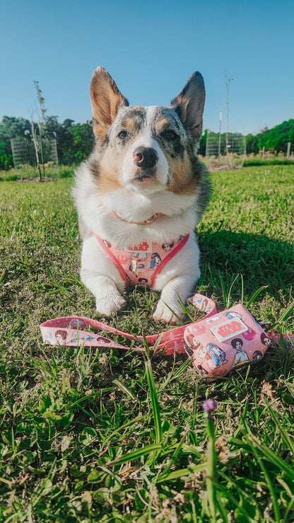Dog Waste Bag Holder - STAR WARS™ Princess Leia
