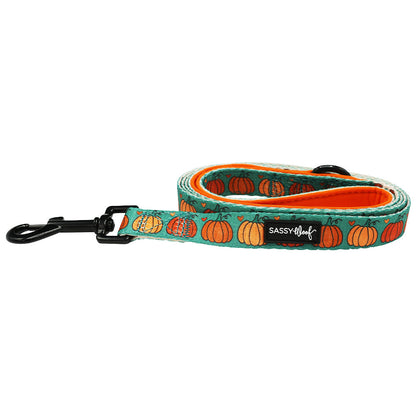 Dog Leash - Pie There!