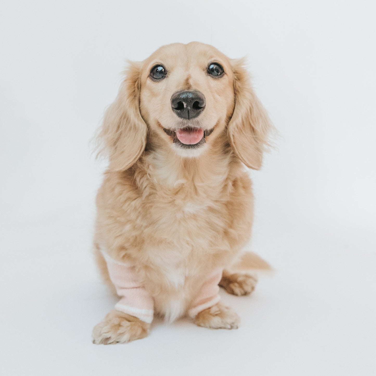 Dog Leg Warmers - Pink