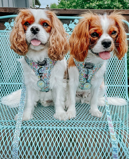 Dog Leash - Pup Pup Hooray