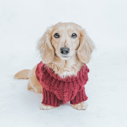Pet Cable Knit Sweater - Red