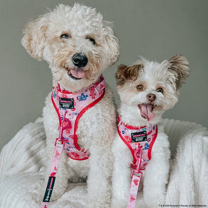 Dog Two Piece Bundle - Mean Girls™