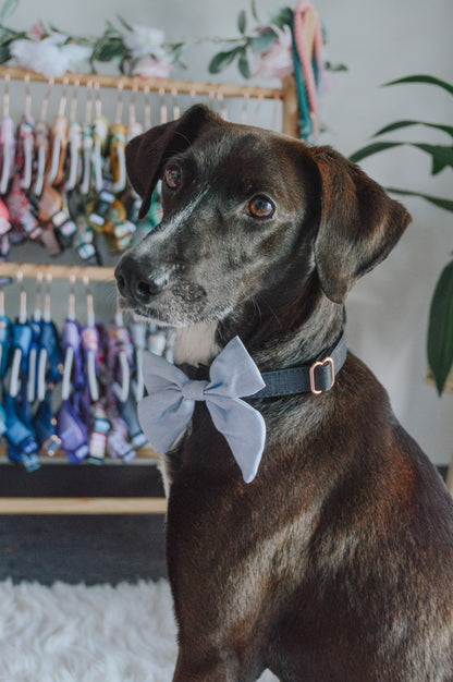 Dog Sailor Bow - 50 Shades of Sass