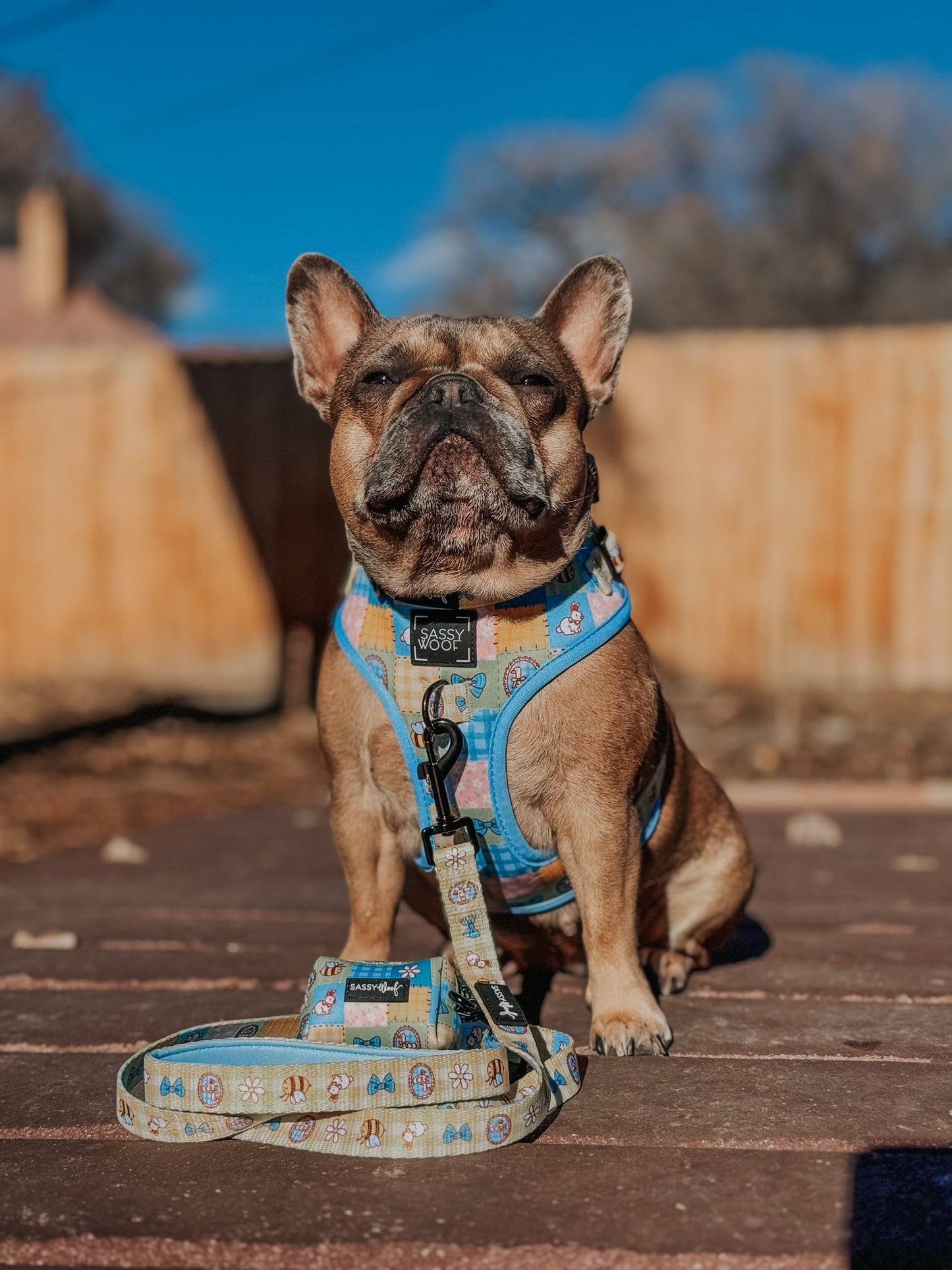 Dog Four Piece Bundle - Patch Perfect