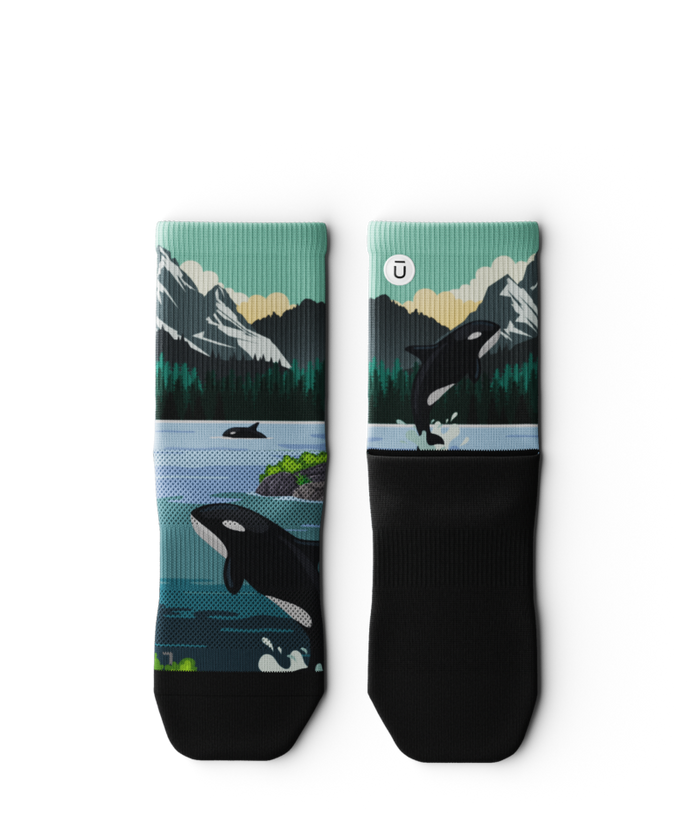 Wild Coast Athletic Quarter Socks 3-Pack
