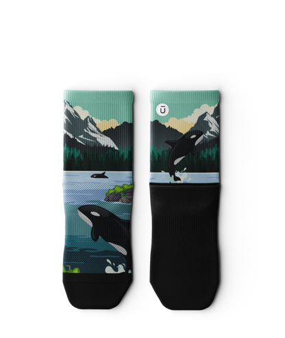 Wild Coast Athletic Quarter Socks 3-Pack