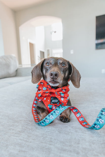 Harness Three Piece Bundle - Disney Holiday Collection