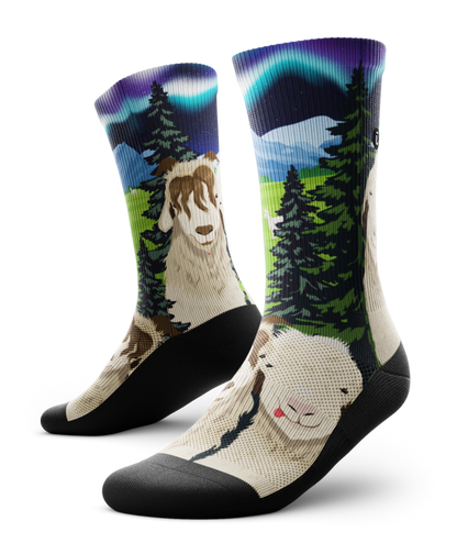 Wool You Be Mine Athletic Crew Socks