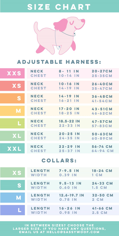 Dog Four Piece Bundle - Pup Pup Hooray