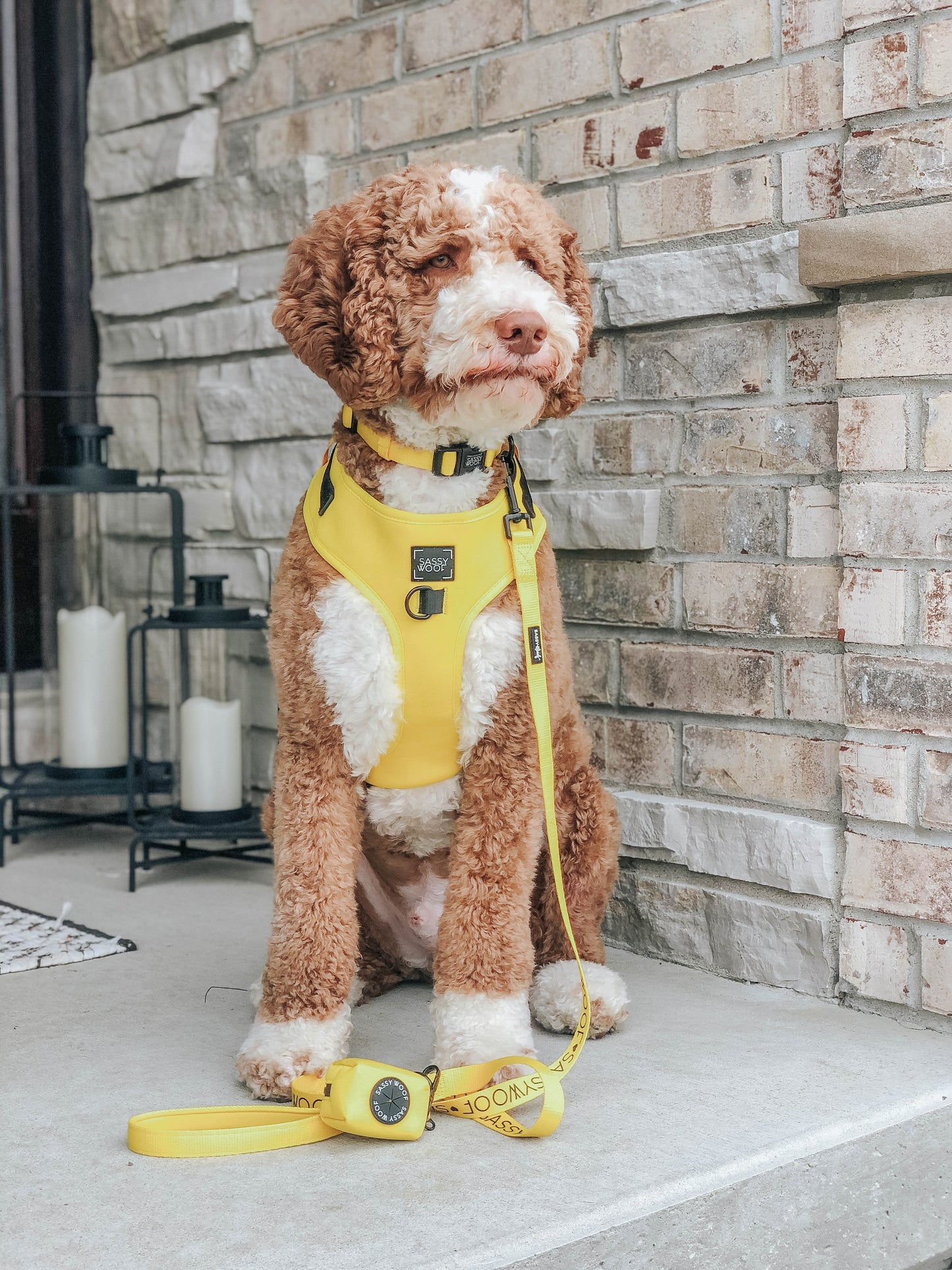 Dog Waste Bag Holder - Neon Yellow