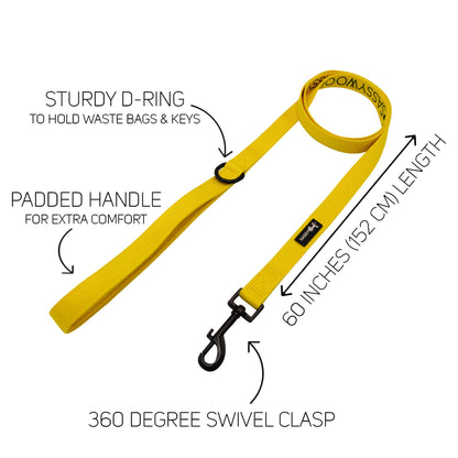 Dog Collar Three Piece Bundle - Neon Yellow