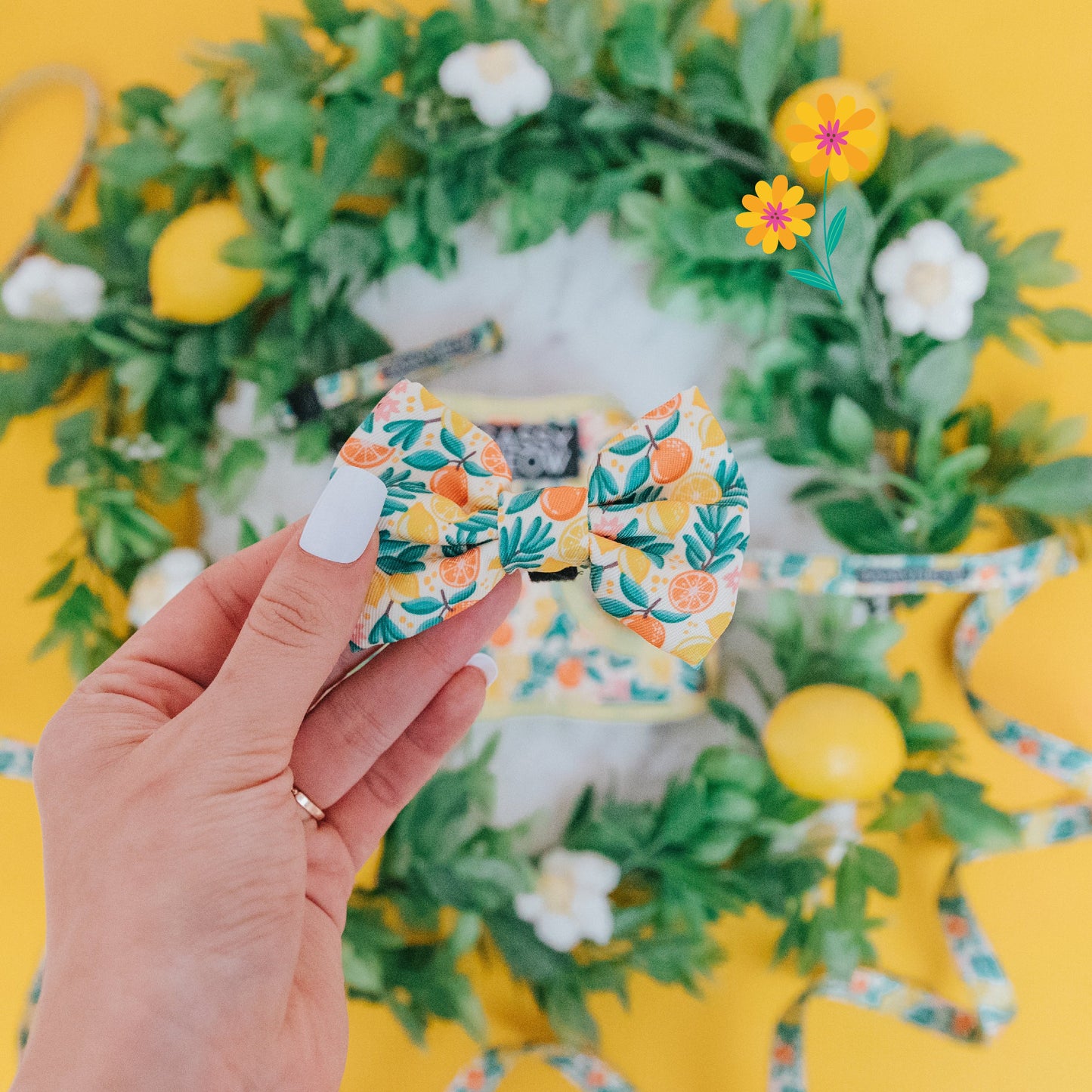Cat Bowtie - Zest Friends