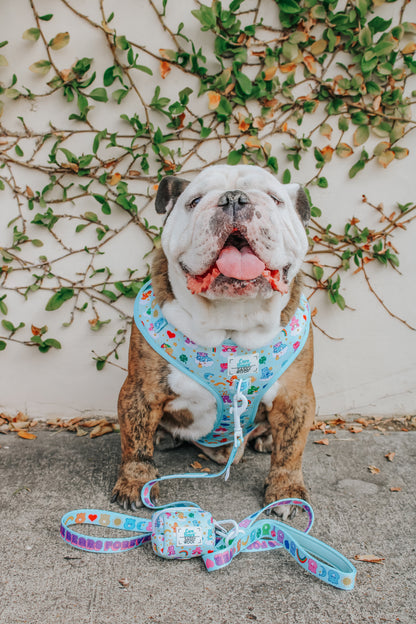 Dog Leash - Care Bears™ Care-a-Lot